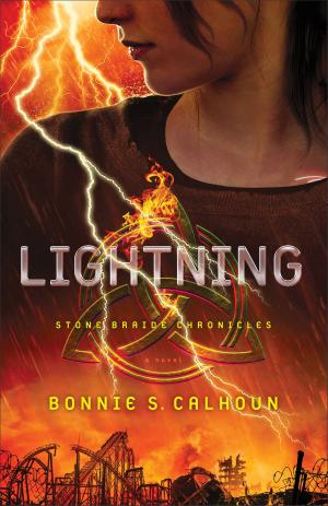 Cover of the book Lightning (Stone Braide Chronicles Book #2) by Rebecca Currington