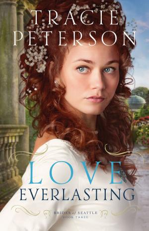 Cover of the book Love Everlasting (Brides of Seattle Book #3) by Larry Christenson