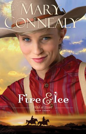 Cover of the book Fire and Ice (Wild at Heart Book #3) by Elizabeth Camden