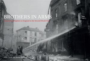 Cover of the book Brothers in Arms by Damien O'Dell