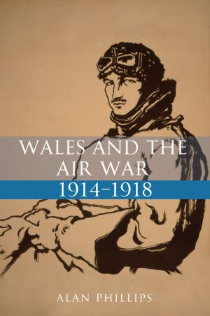 Book cover of Wales and the Air War 1914-1918