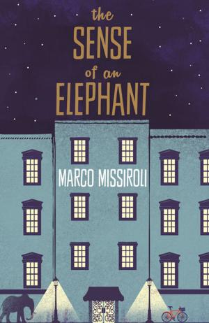 Cover of the book The Sense of an Elephant by Meg Cabot