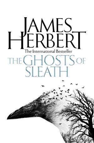 Cover of the book The Ghosts of Sleath by John Vault