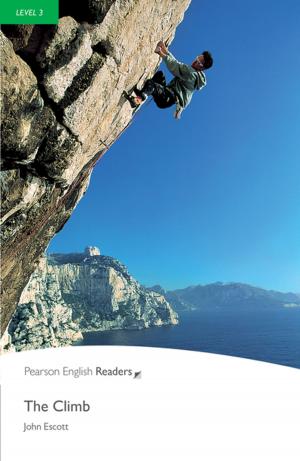 Cover of the book Level 3: The Climb by Stephen Spinelli Jr., Heather McGowan