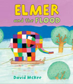 Book cover of Elmer and the Flood