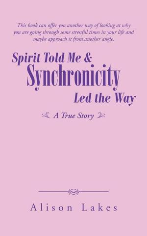 Cover of the book Spirit Told Me & Synchronicity Led the Way by Katherine Steele