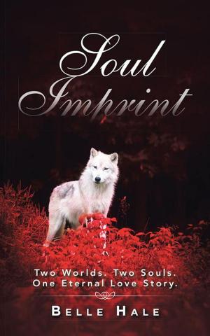 Cover of the book Soul Imprint by Mazi Mcburnie