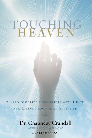 Cover of the book Touching Heaven by Karen Valentin