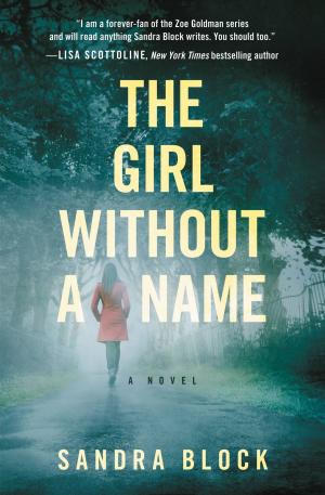 Cover of the book The Girl Without a Name by Megan Keith