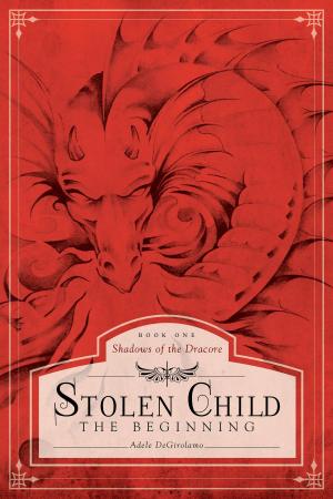 Cover of the book Stolen Child - The Beginning by John M. Davis