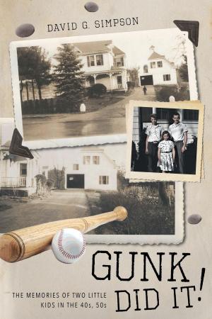 Cover of the book Gunk Did It! by Michael Timms