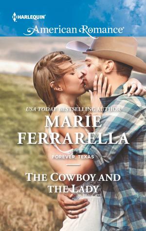 Cover of the book The Cowboy and the Lady by Rebecca Winters, Lucy Gordon