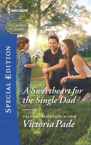 Cover of the book A Sweetheart for the Single Dad by Elizabeth Lane, Melissa McClone