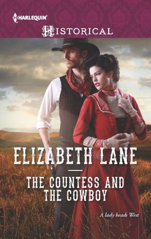 Cover of the book The Countess and the Cowboy by Kate Little