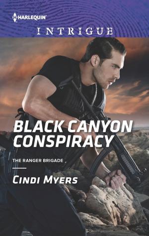 Book cover of Black Canyon Conspiracy