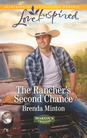 Cover of the book The Rancher's Second Chance by Rosemary Bach-Holzer