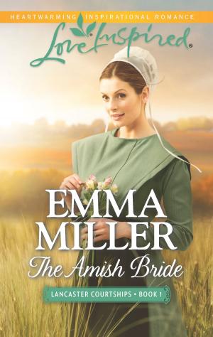 Book cover of The Amish Bride