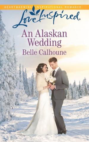 Cover of the book An Alaskan Wedding by Carol J. Post, Sara K. Parker