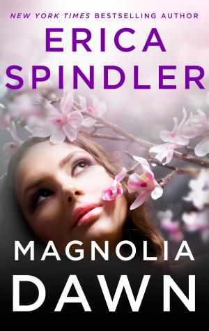 Book cover of Magnolia Dawn
