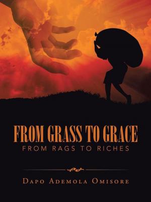 Cover of the book From Grass to Grace by Åvald Norén