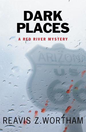 Cover of the book Dark Places by William Stillman