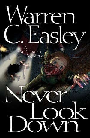 Cover of the book Never Look Down by Edward Fiske