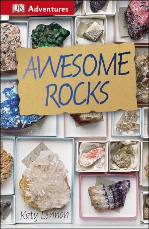 Cover of the book DK Adventures: Awesome Rocks by Sheila Buff, Alan H Pressman D.C., Ph.D., C.N.N.