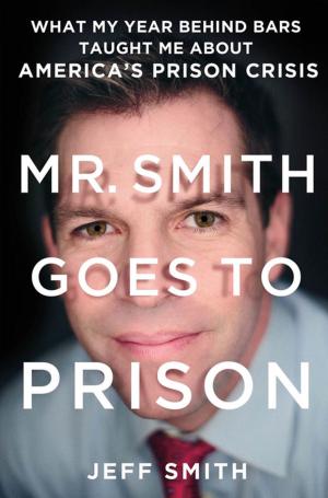 Cover of the book Mr. Smith Goes to Prison by Kerrigan Byrne