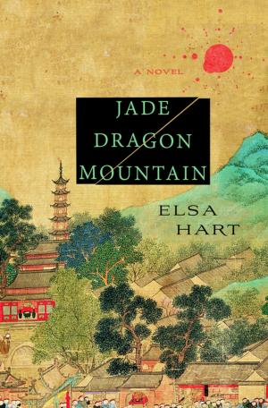 Cover of the book Jade Dragon Mountain by Erin Kelly
