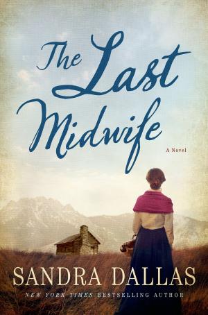 Cover of the book The Last Midwife by Barbara Leaming