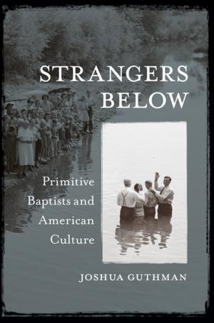 Cover of the book Strangers Below by Richard Schweid