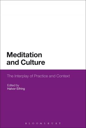Cover of the book Meditation and Culture by Dr. A. V. Srinivasan