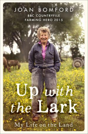 Cover of the book Up With The Lark by Nigel Tranter