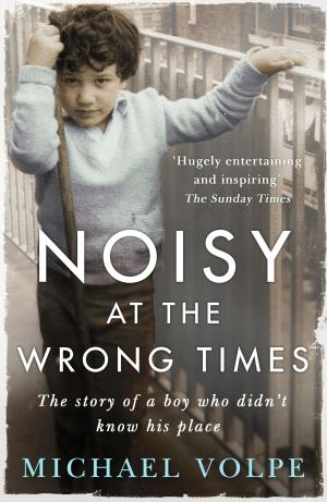 Cover of the book Noisy at the Wrong Times by Martin Goldsmith