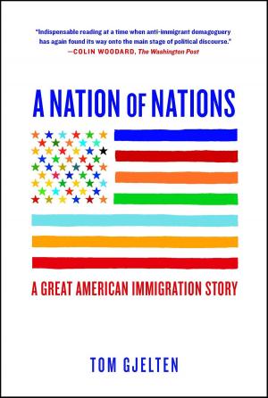 Cover of the book A Nation of Nations by The Editors of New York Magazine