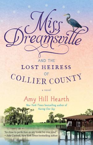 Cover of the book Miss Dreamsville and the Lost Heiress of Collier County by Vincent Anthony Furia