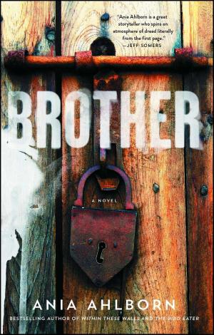 Cover of the book Brother by Jennifer Hillier