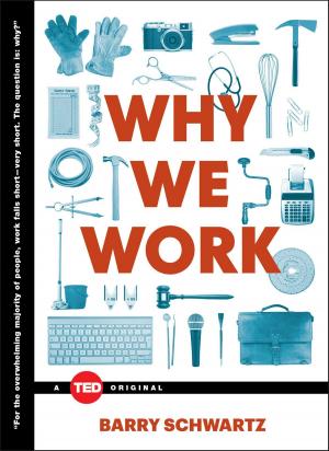 Cover of the book Why We Work by Jonathan Eig