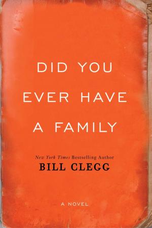 Cover of the book Did You Ever Have a Family by Noël F. Caraccio