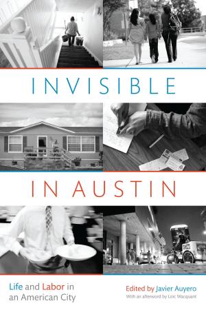 Cover of the book Invisible in Austin by Faegheh Shirazi