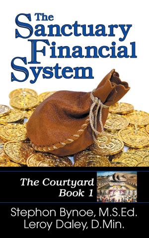 Cover of the book Sanctuary Financial System, The by Jan Voerman