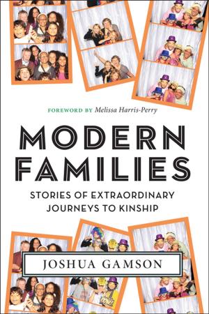 Book cover of Modern Families