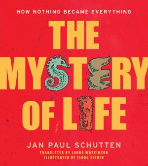 Cover of the book The Mystery of Life by Jenny Meyerhoff