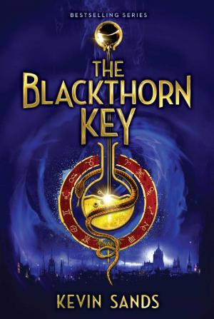 Cover of the book The Blackthorn Key by Marie Hammontree
