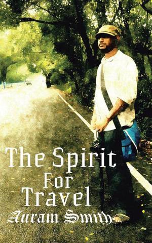 Cover of the book The Spirit for Travel by Naman Mukesh Chaudhary