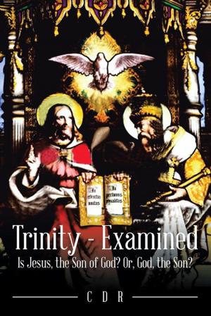 Cover of the book Trinity - Examined by Tara Thorat