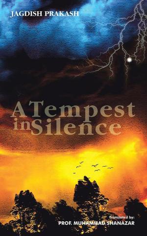 Cover of the book A Tempest in Silence by Anam Arsalan
