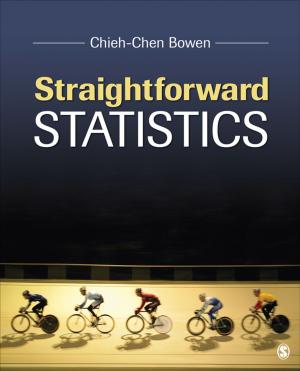 Cover of the book Straightforward Statistics by Professor Nigel King, Christine Horrocks