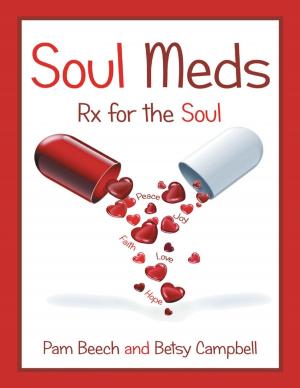 Cover of the book Soul Meds: Rx for the Soul by Thomas Schick