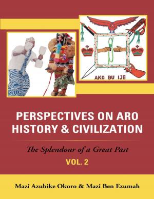 Cover of the book Perspectives On Aro History & Civilization: The Splendour of a Great Past: Vol. 2 by DrahCir